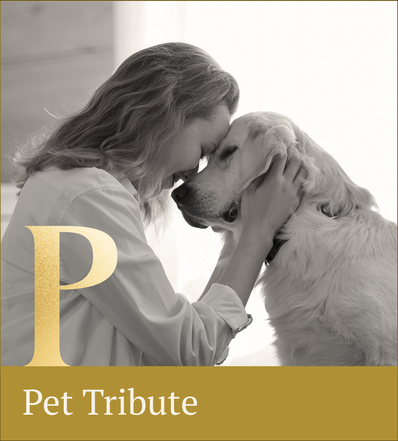 Pet Tribute